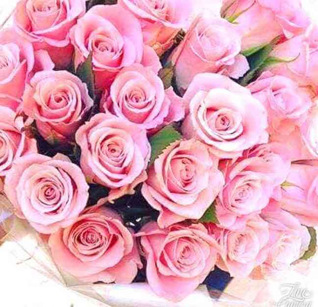 淡路島を語りたい！