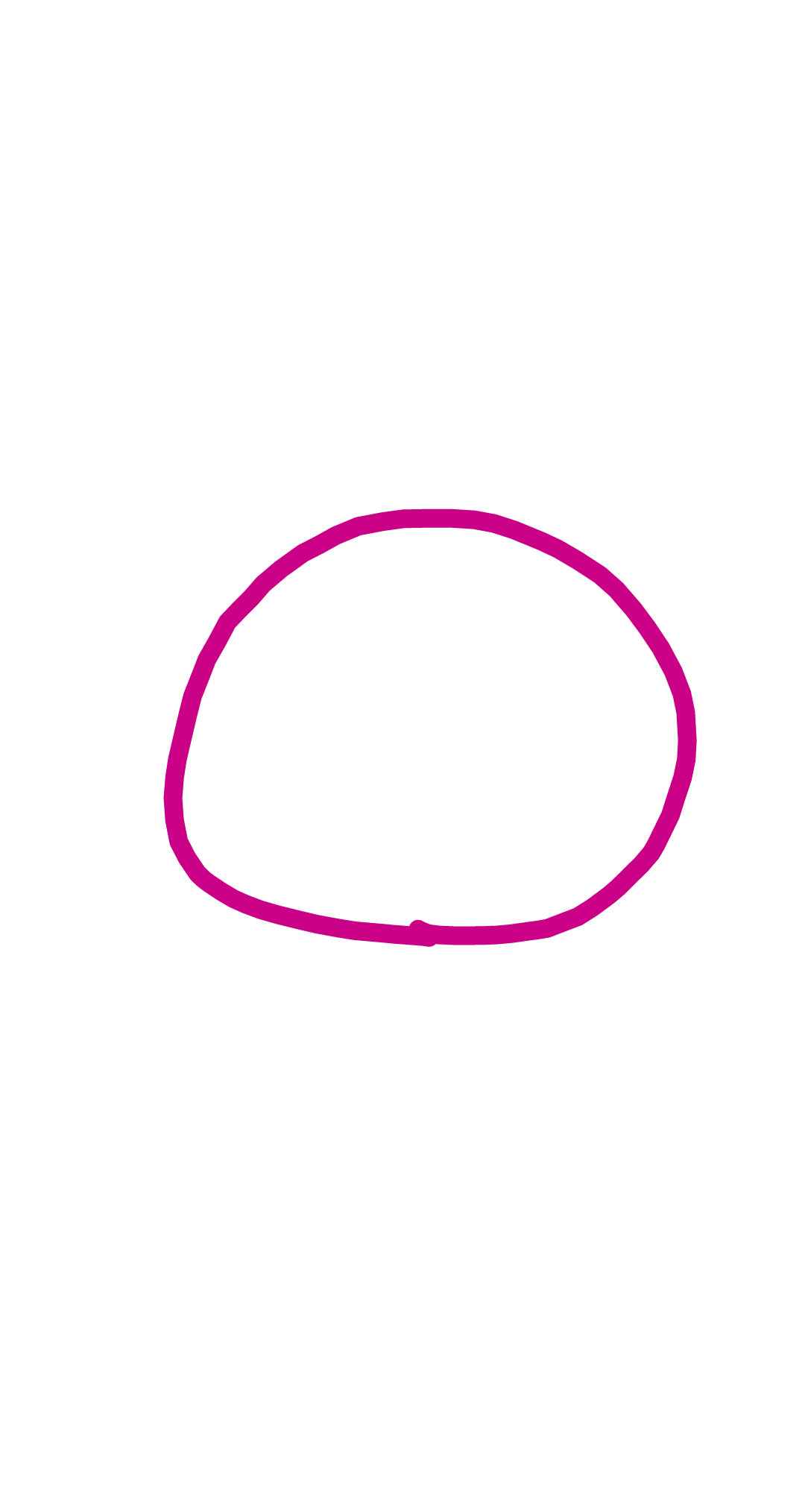 フリーハンドで丸を描くだけのトピ