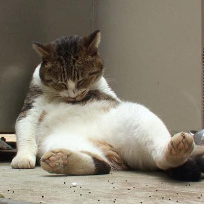 生理中のイライラを画像で表しましょう