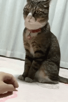 生理中のイライラを画像で表しましょう