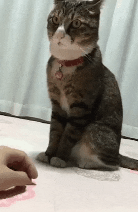 生理中のイライラを画像で表しましょう