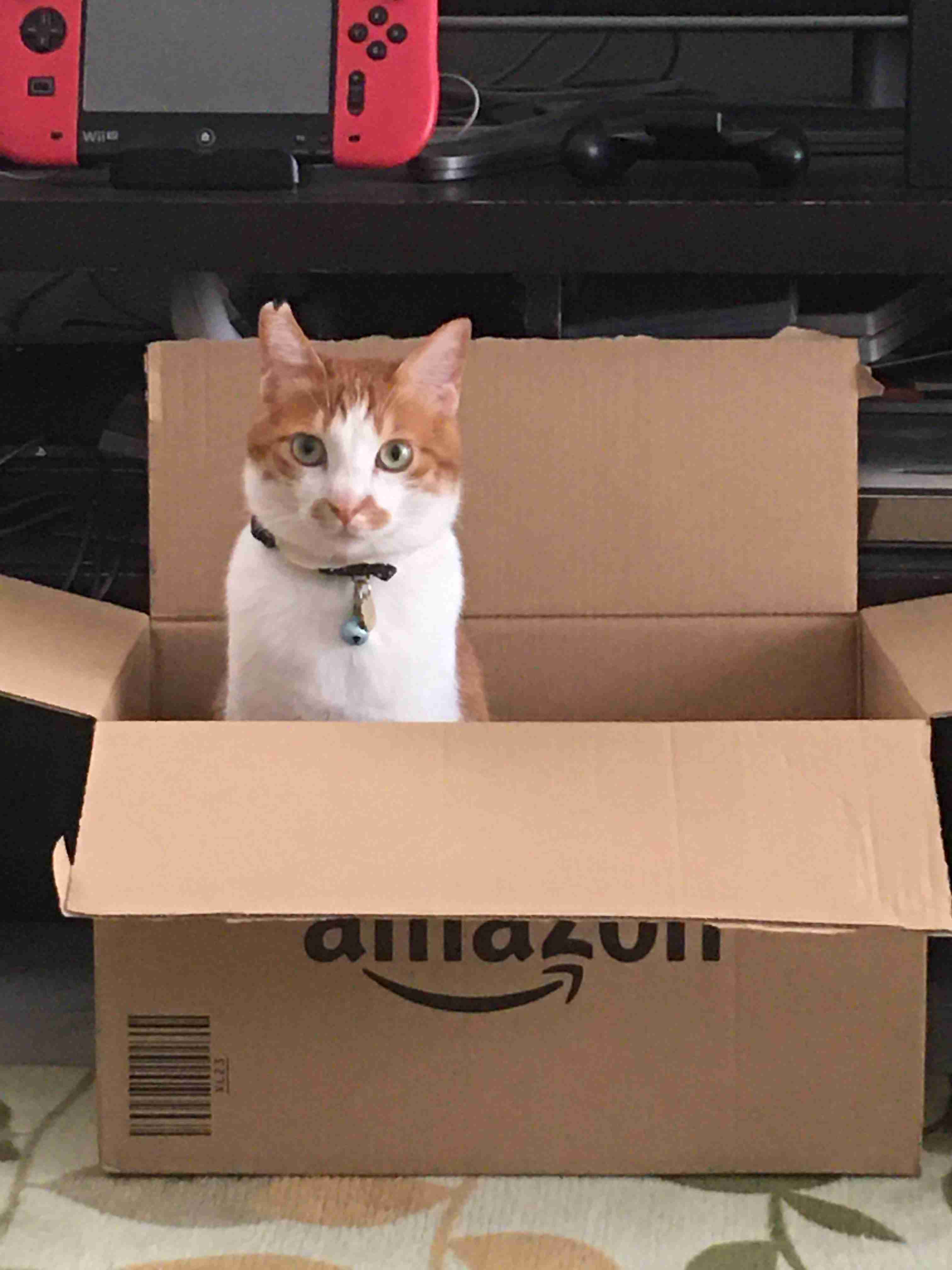 amazonあるある