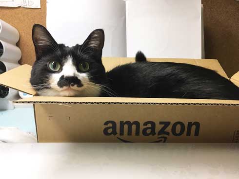amazonあるある
