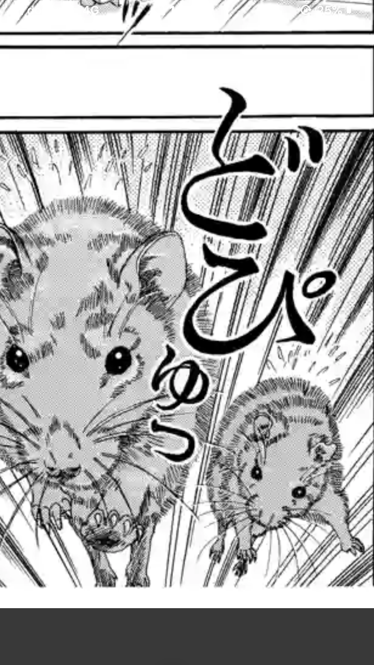 まん丸な目の動物たち