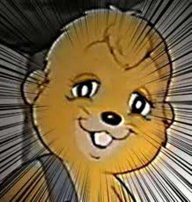 まん丸な目の動物たち