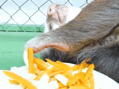 働きたくない人！