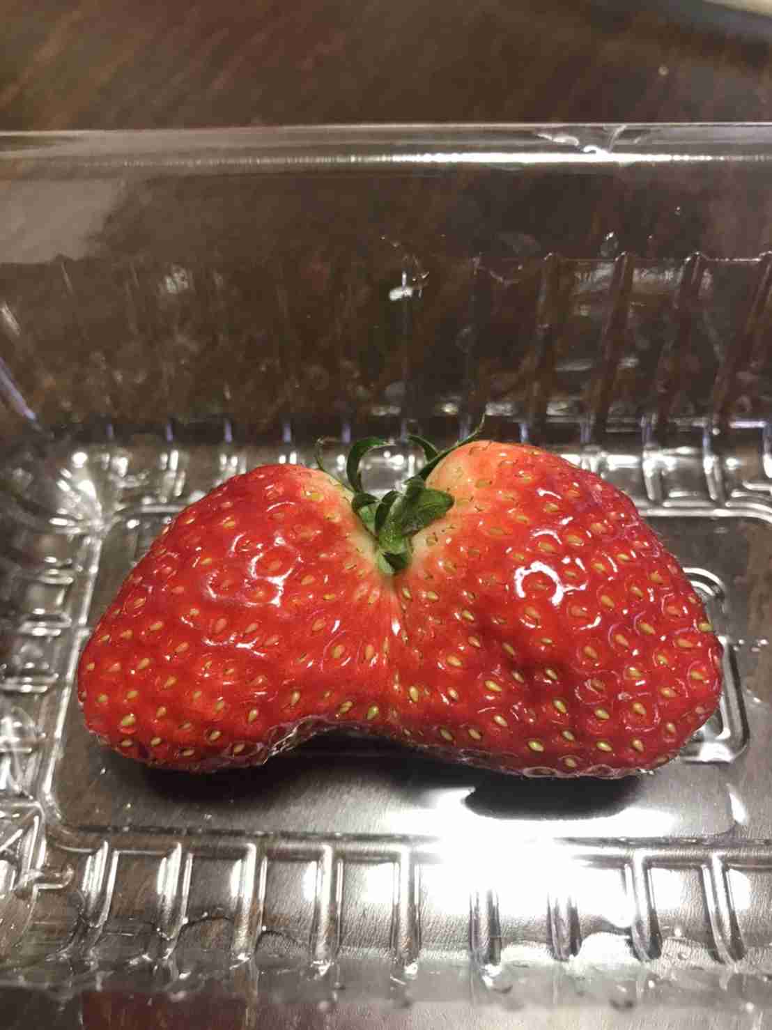 あら！珍しいと思った画像を貼るトピ
