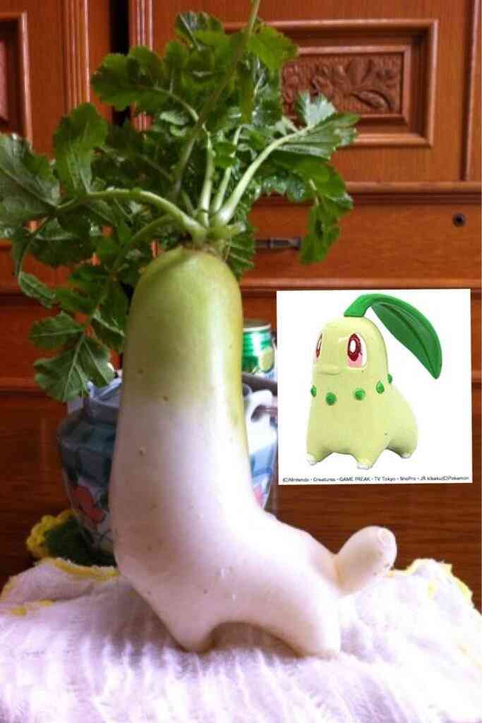 あら！珍しいと思った画像を貼るトピ