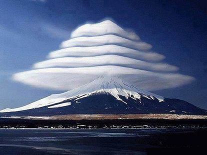 あら！珍しいと思った画像を貼るトピ
