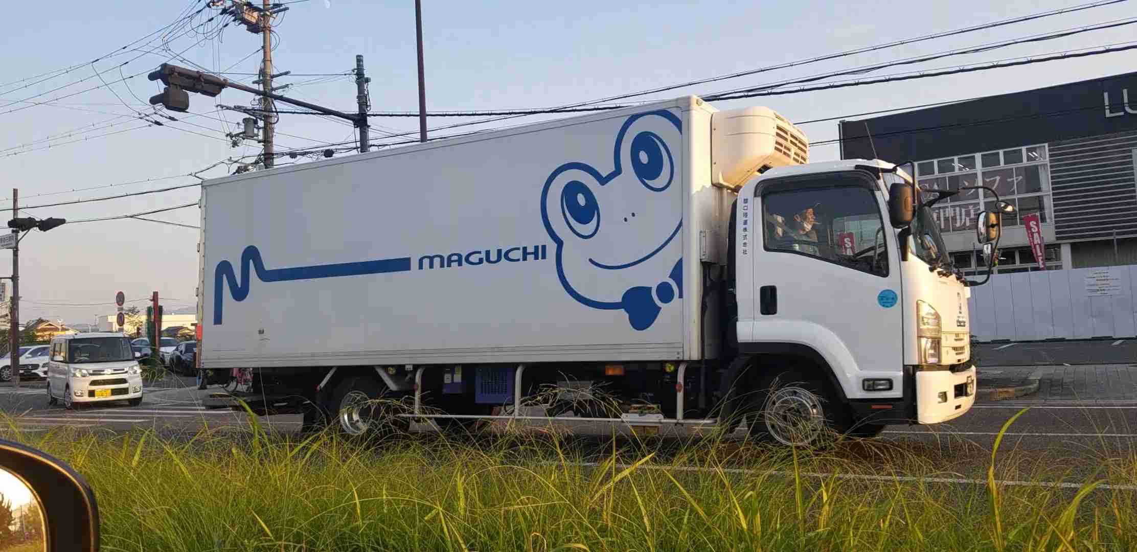 あら！珍しいと思った画像を貼るトピ