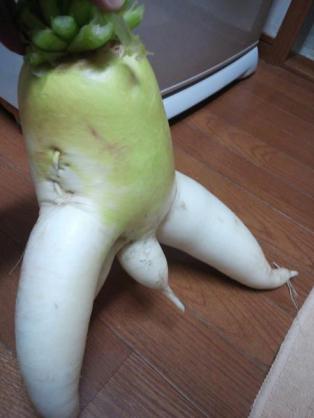 あら！珍しいと思った画像を貼るトピ