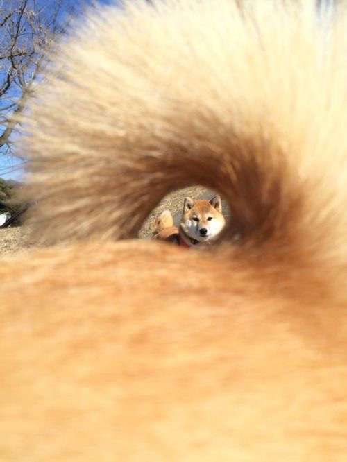 あら！珍しいと思った画像を貼るトピ
