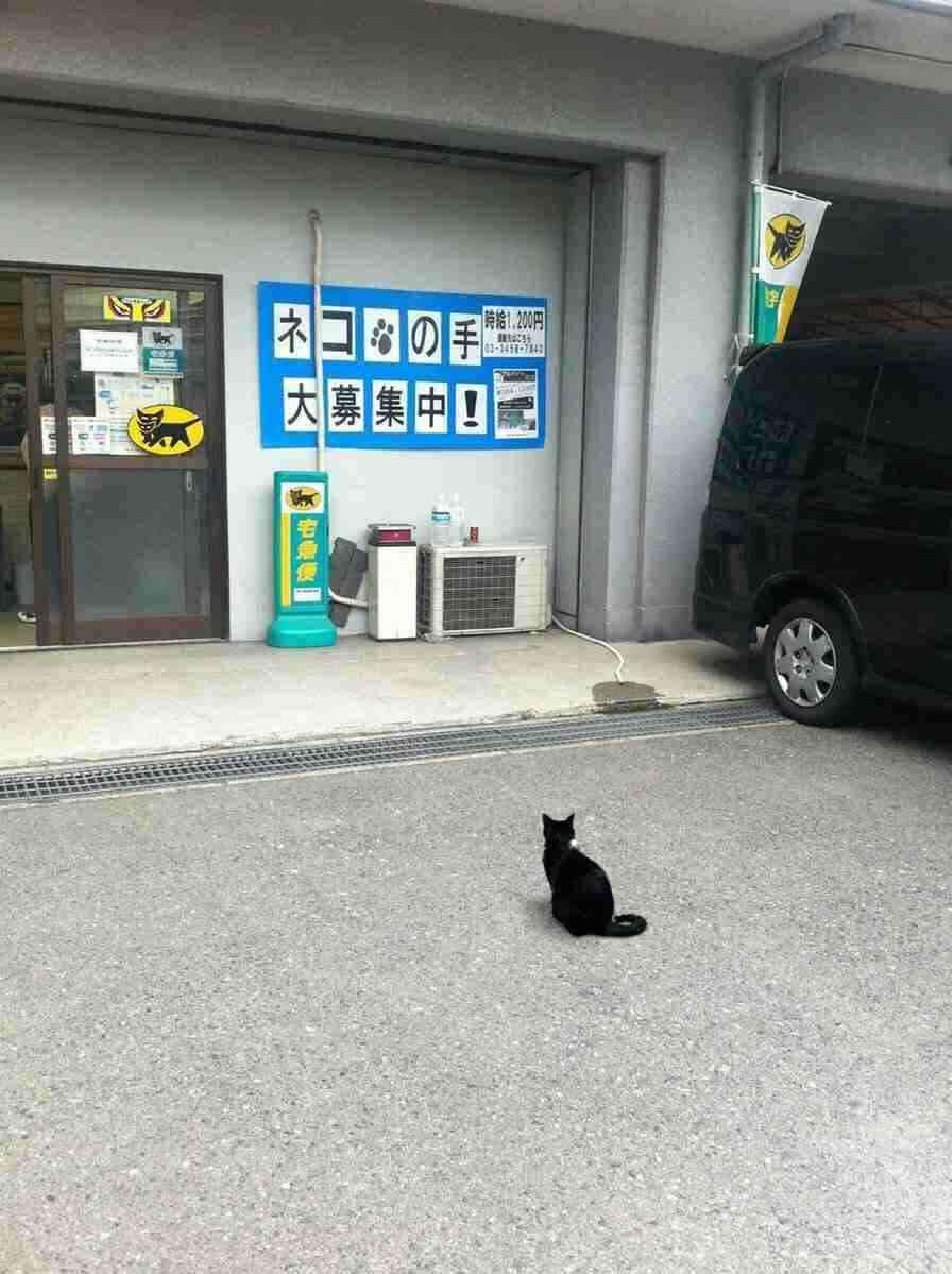 あら！珍しいと思った画像を貼るトピ