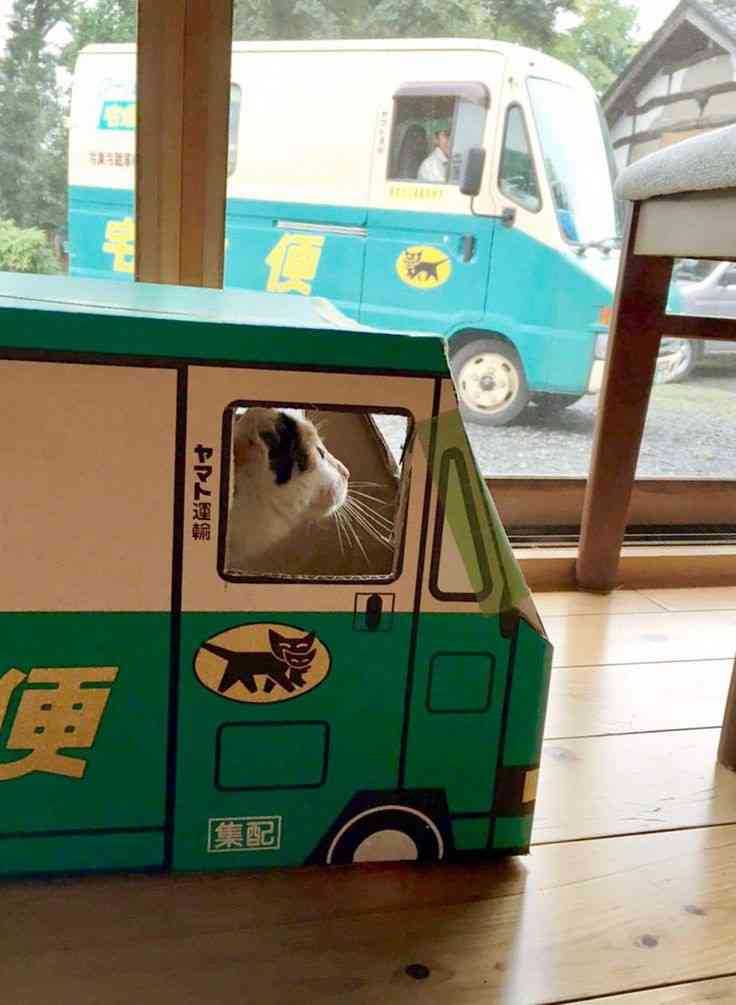 あら！珍しいと思った画像を貼るトピ