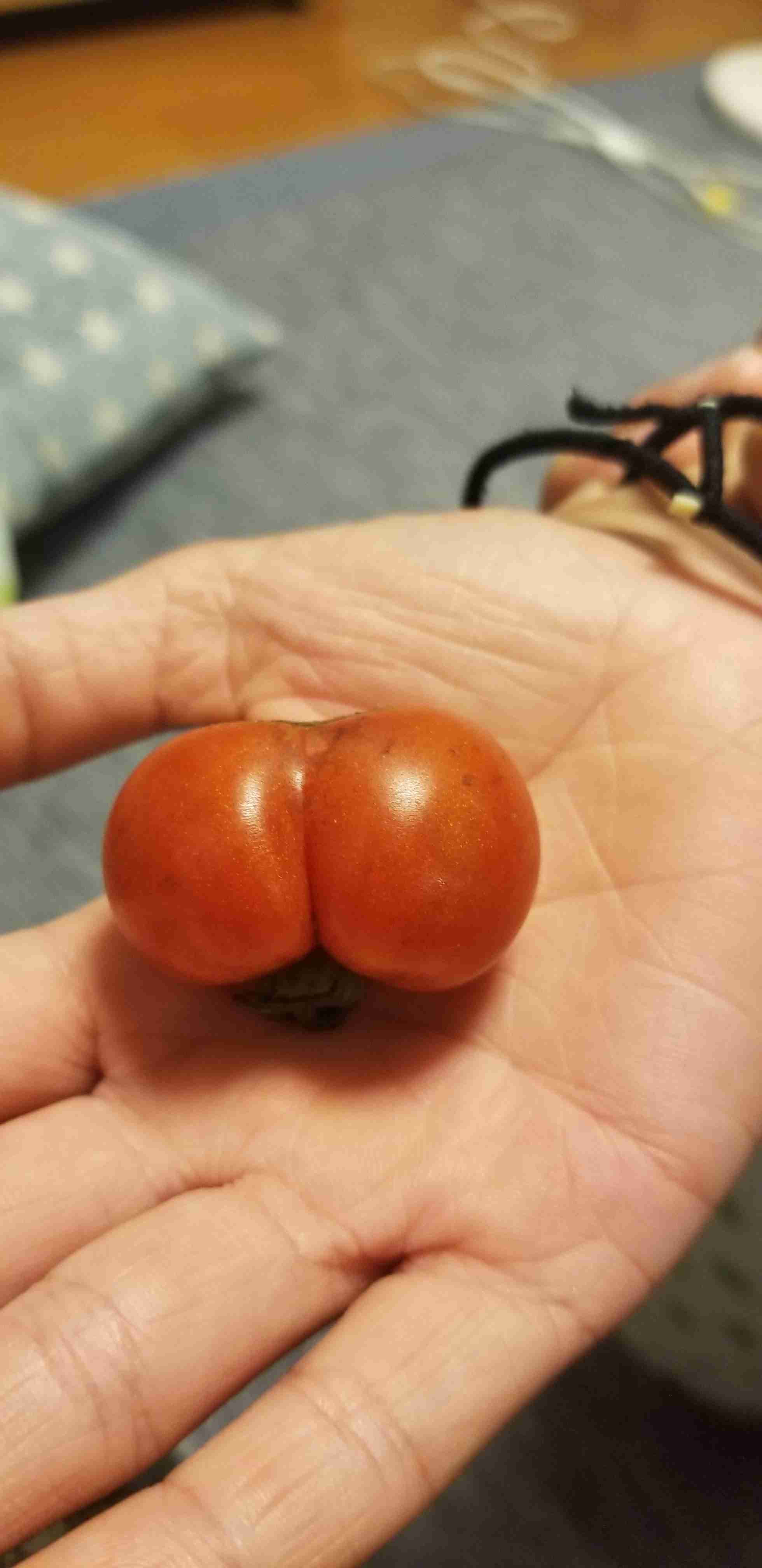あら！珍しいと思った画像を貼るトピ