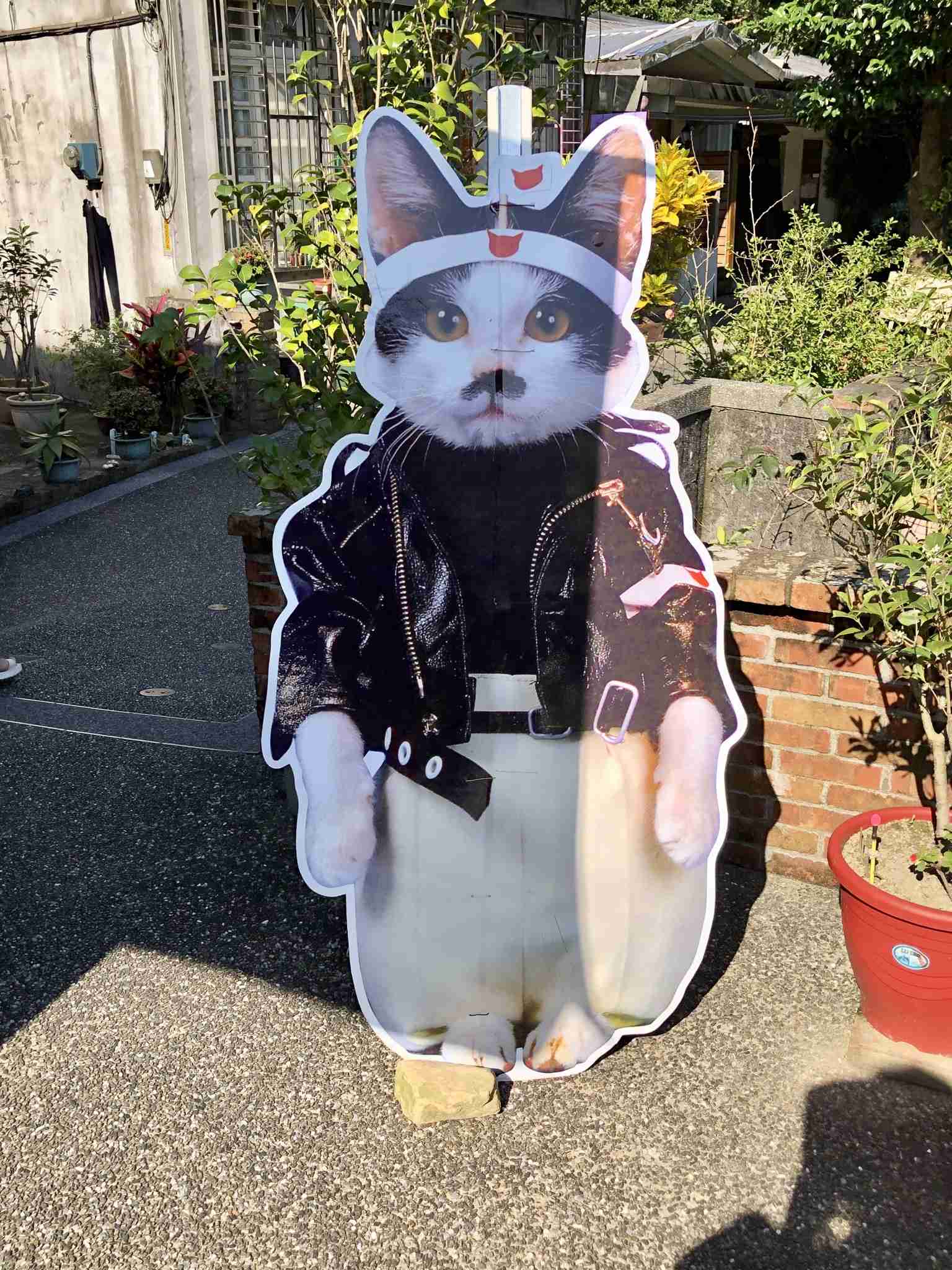 海外で見た日本の物🌍🇯🇵