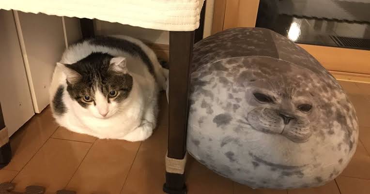 残念なぬいぐるみ選手権
