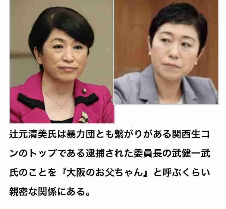 「桜」巡り首相らの告発状提出へ  全国の弁護士ら500人以上