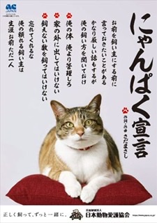 ガルちゃんで画像（サイト）を貼り付ける方法＆練習Part26