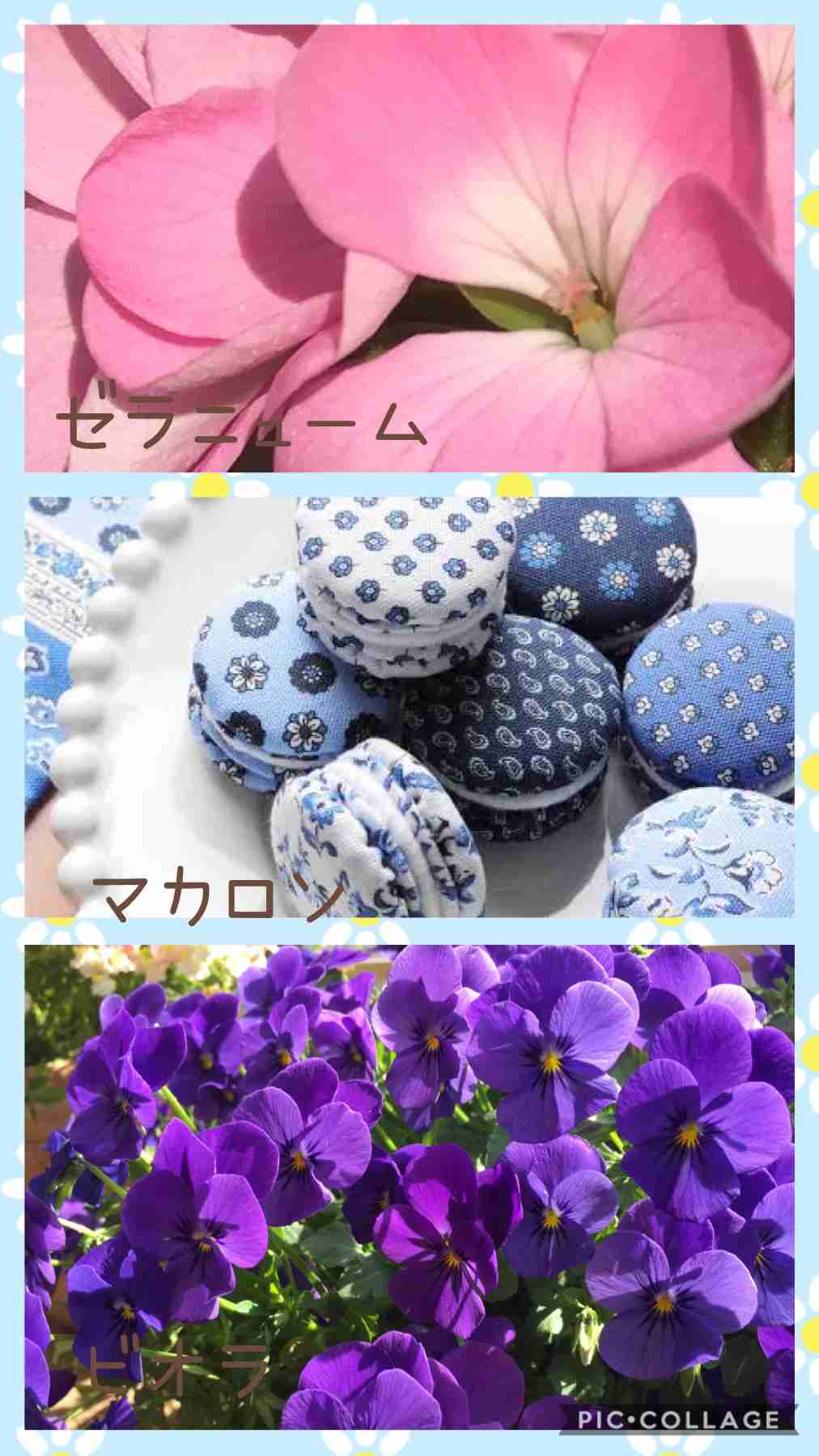 ガルちゃんで画像（サイト）を貼り付ける方法＆練習Part26