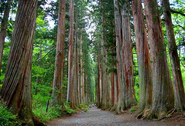 雰囲気が好きな神社やお寺ありますか?