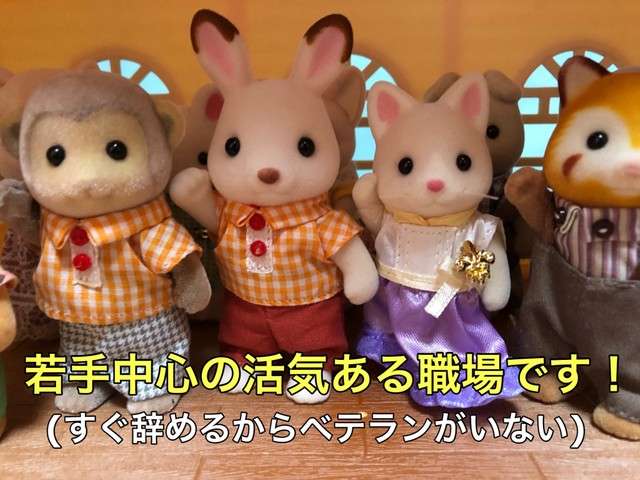 【5月】就活トピ