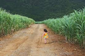 どこか切ない夏の画像を貼っていくトピpart4