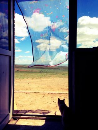 どこか切ない夏の画像を貼っていくトピpart4 ガールズちゃんねる Girls Channel