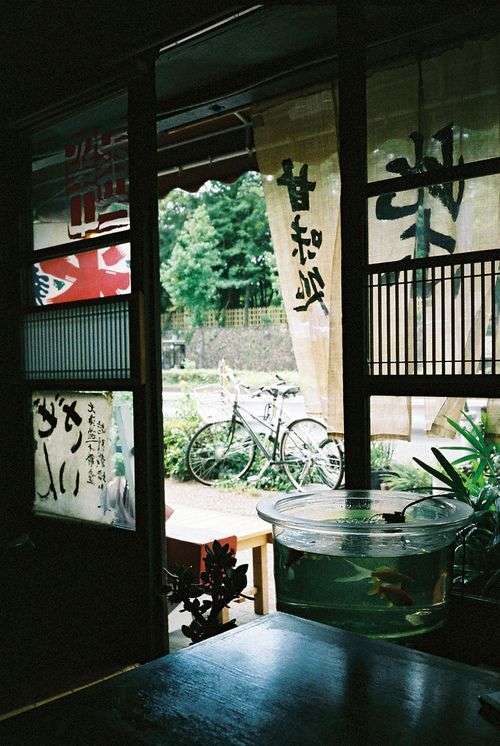 どこか切ない夏の画像を貼っていくトピpart4