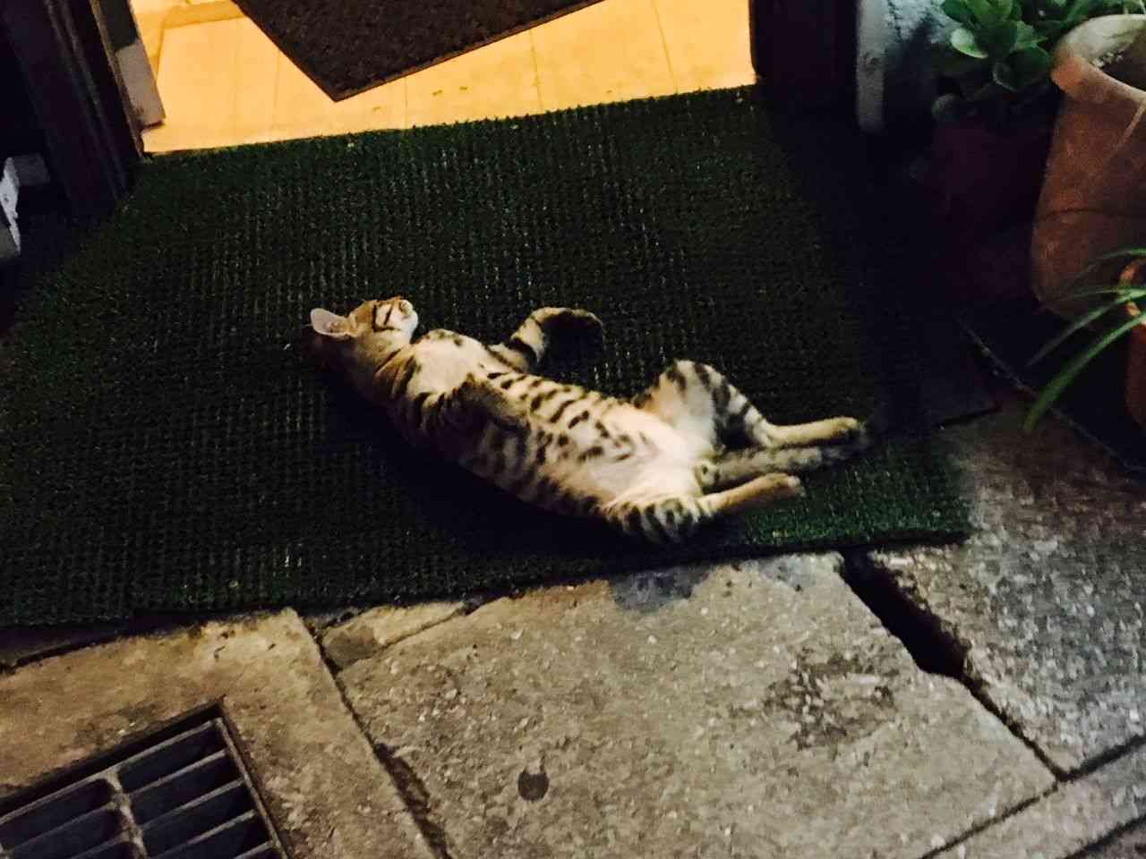 どこか切ない夏の画像を貼っていくトピpart4