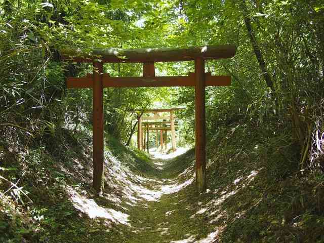 どこか切ない夏の画像を貼っていくトピpart4