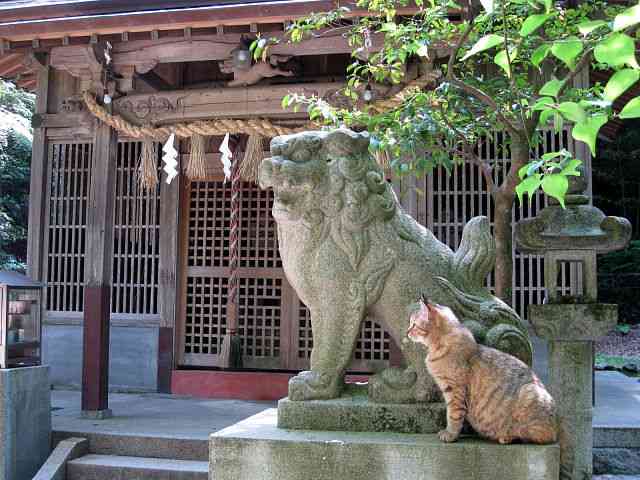 どこか切ない夏の画像を貼っていくトピpart4