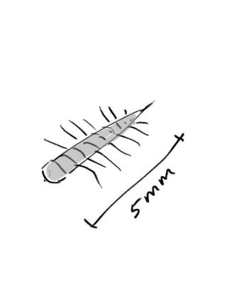 掃除、片付けが出来ない人にしか分からないこと