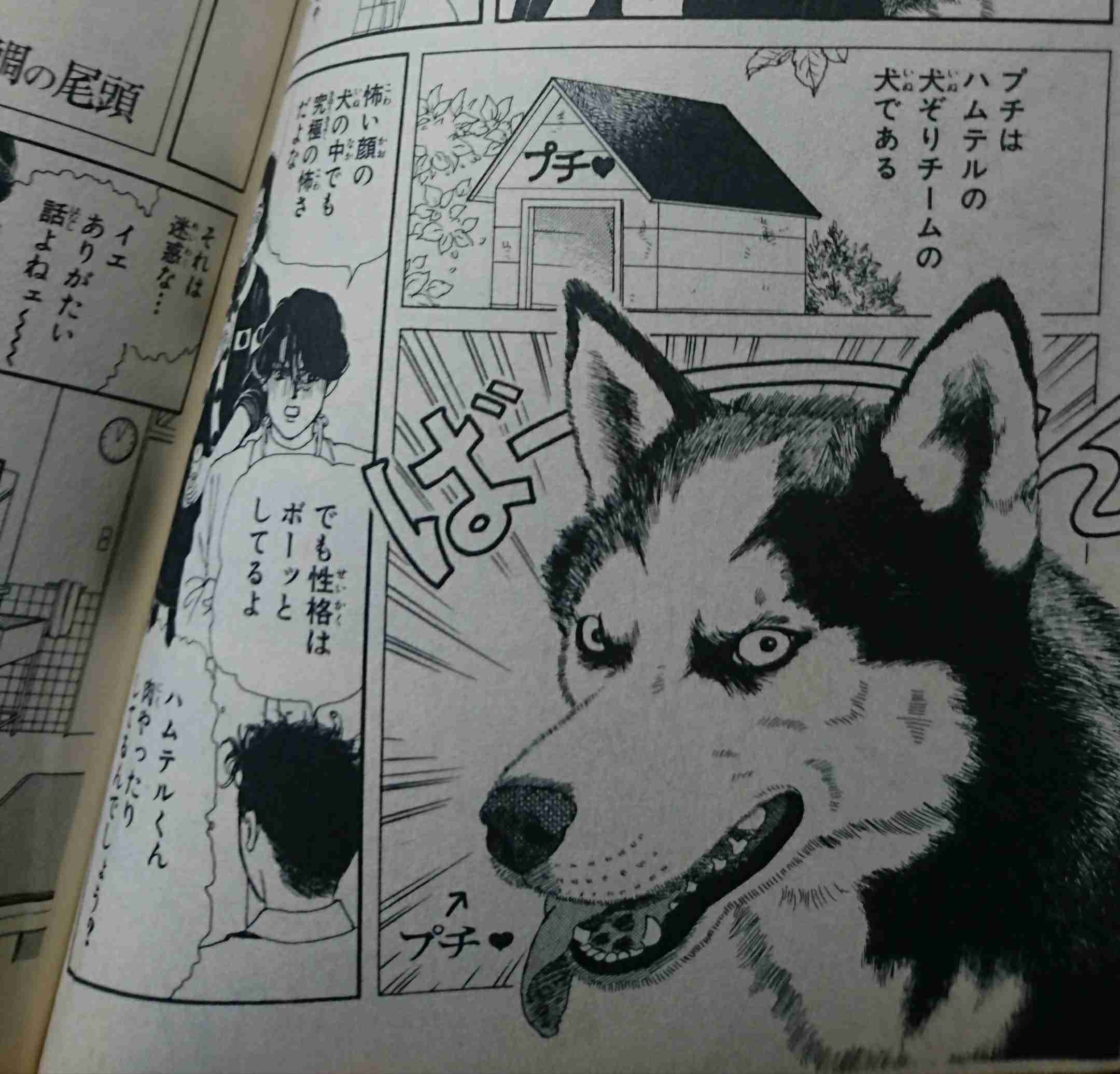 「動物のお医者さん」を語ろう