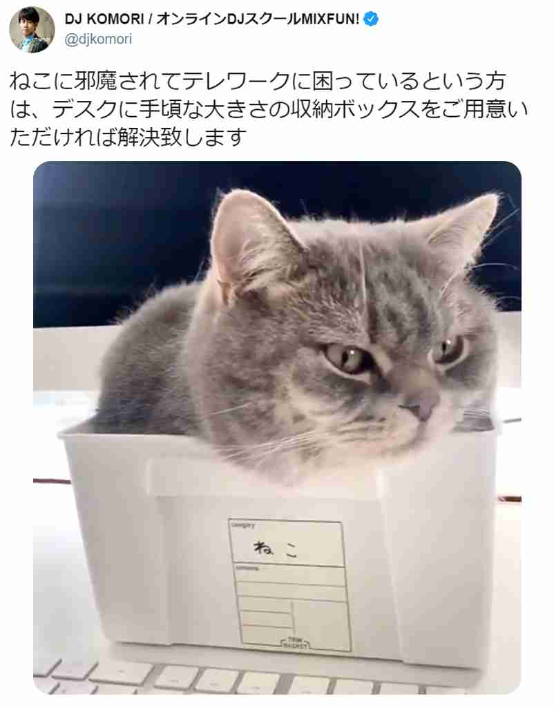 「動物のお医者さん」を語ろう