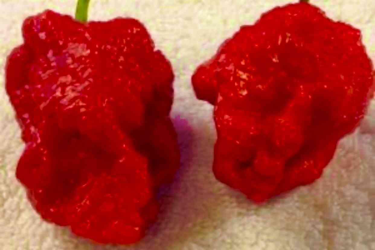 今まで食べた中で1番辛かったものは何ですか？