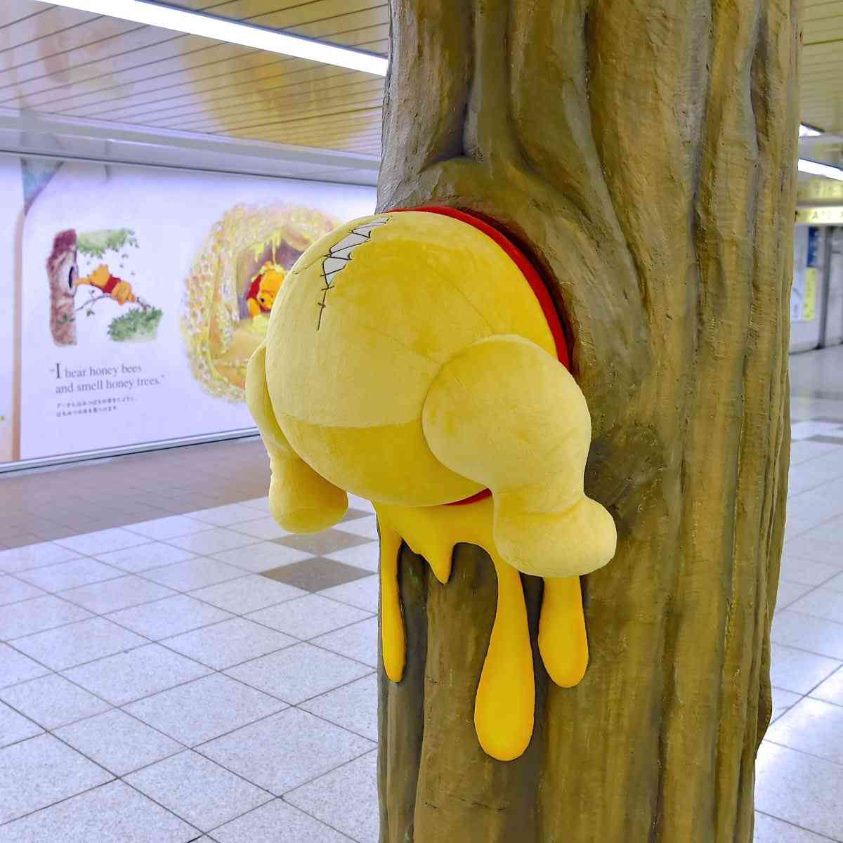 子グマがふらふら高速道路へ　頭にはポリタンクすっぽり