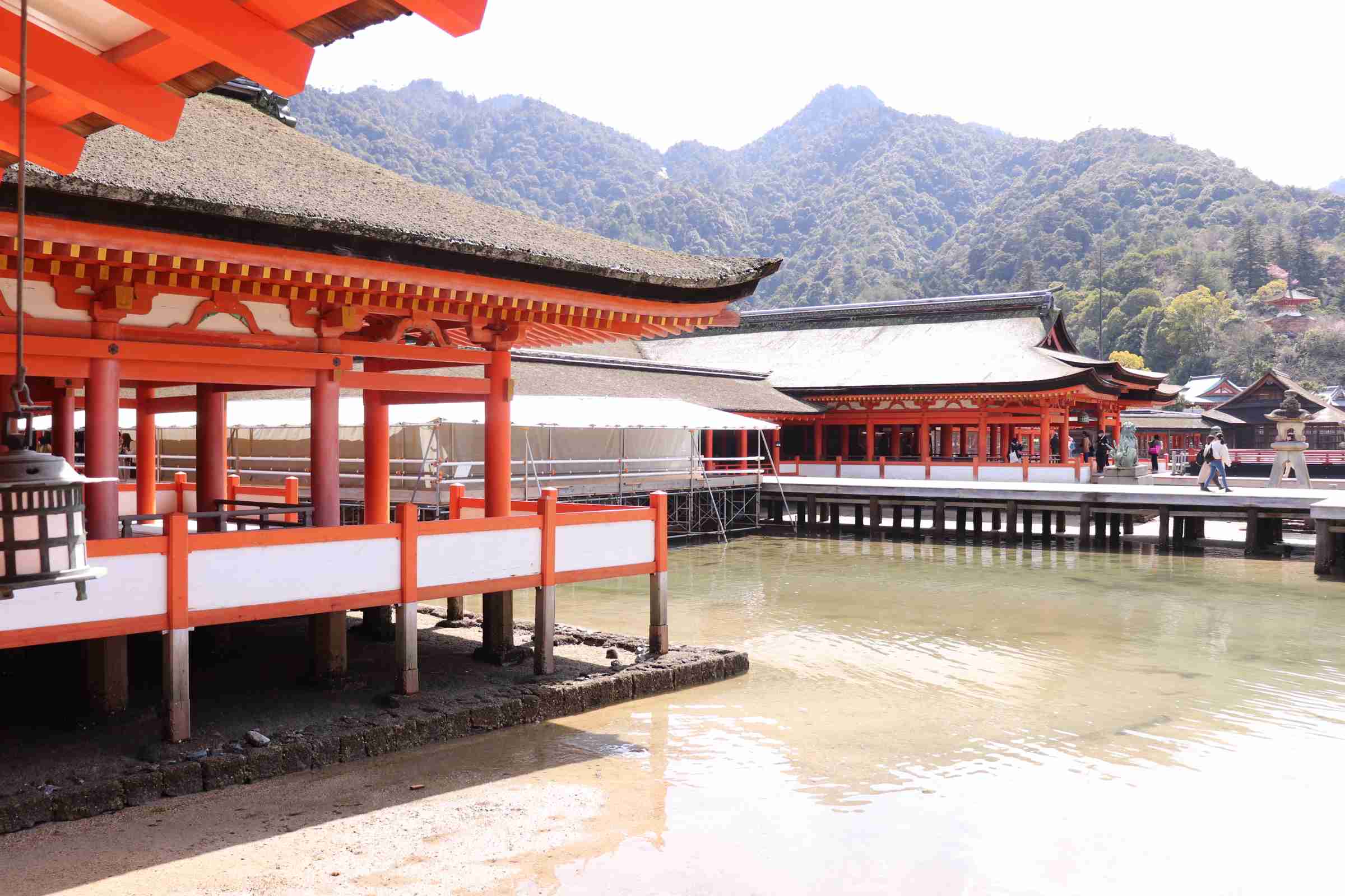 旅の思い出を語ろう!