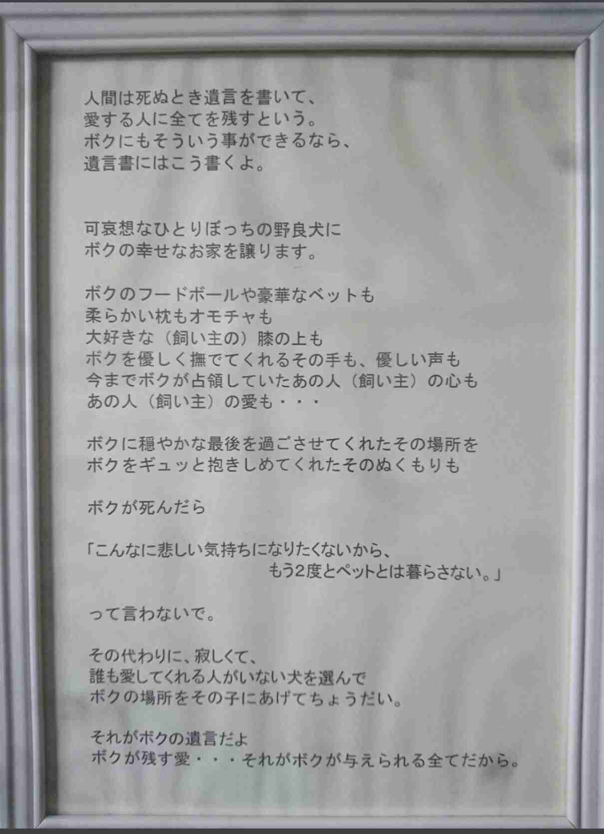 (身バレしない程度に)お宅のわんちゃん見せてください!Part2