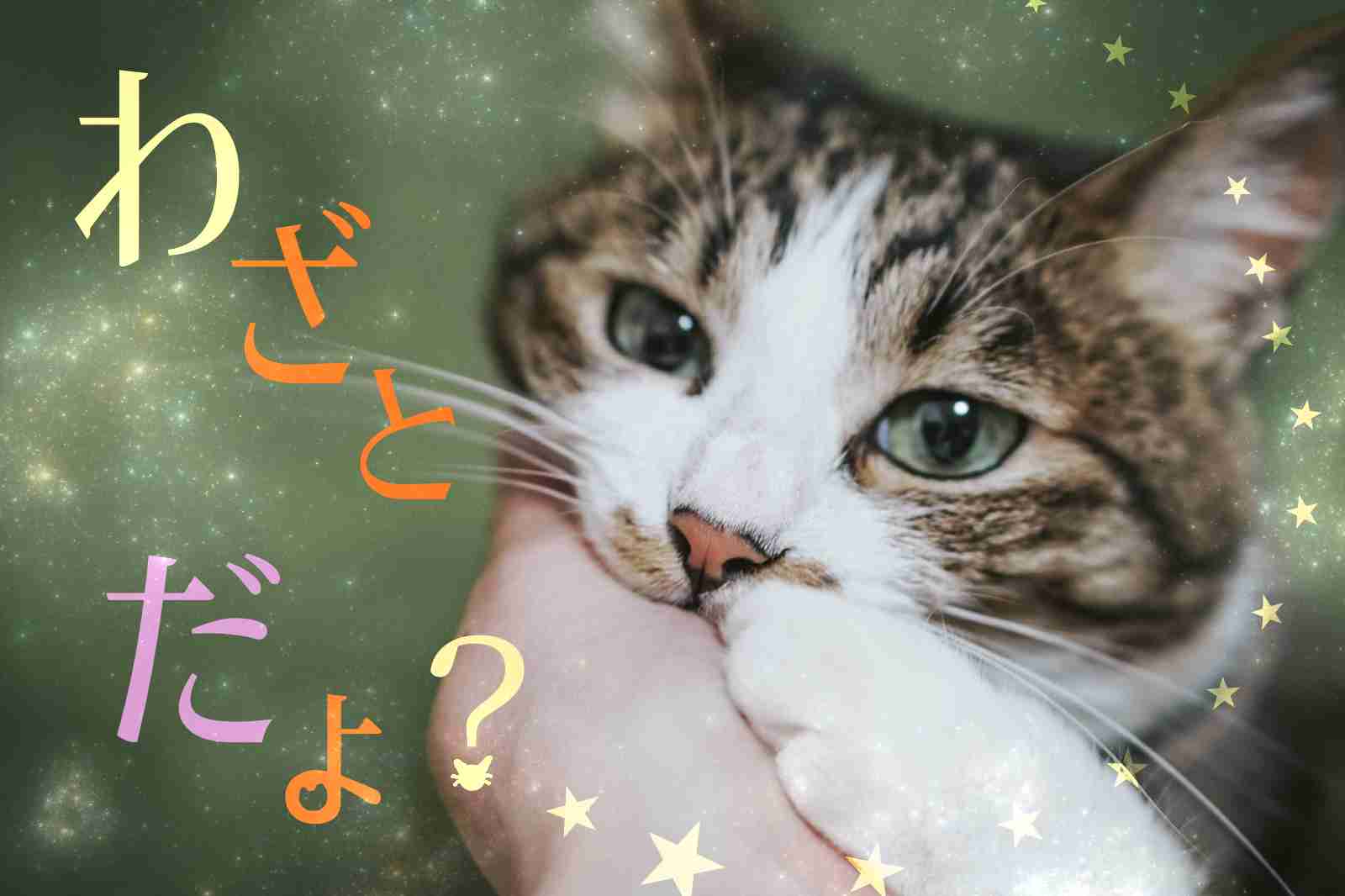 私のこんなトコ、絶対ガルちゃん民に嫌われる選手権!!
