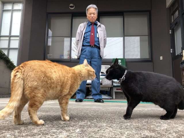 猫と警備員、2カ月ぶりに再会　マスク姿でも分かったよ