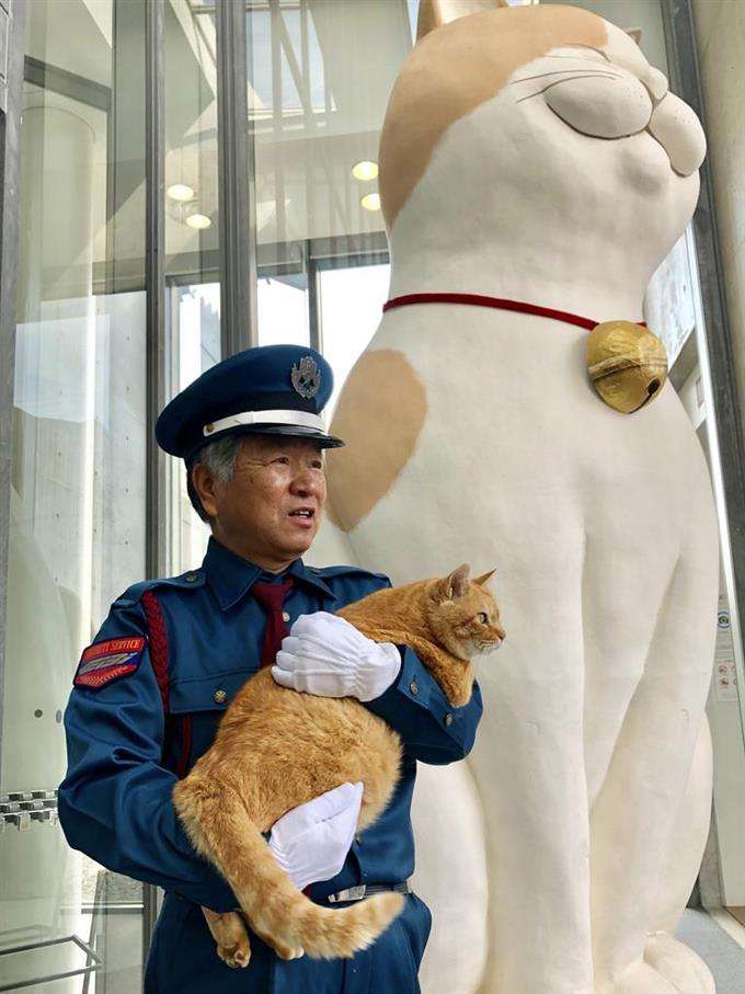 猫と警備員、2カ月ぶりに再会　マスク姿でも分かったよ