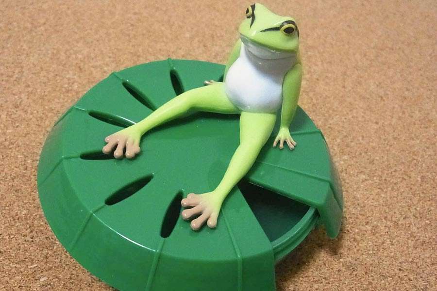 【閲覧注意】虫の大量発生