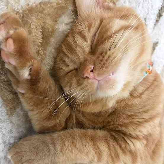 子育てが落ち着いて、働こうか迷ってる人。