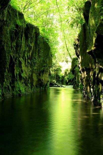 死後の世界語りたい