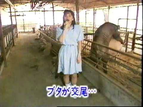 やらかしちゃった動物たち