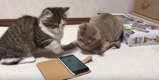 スマホの覗き見