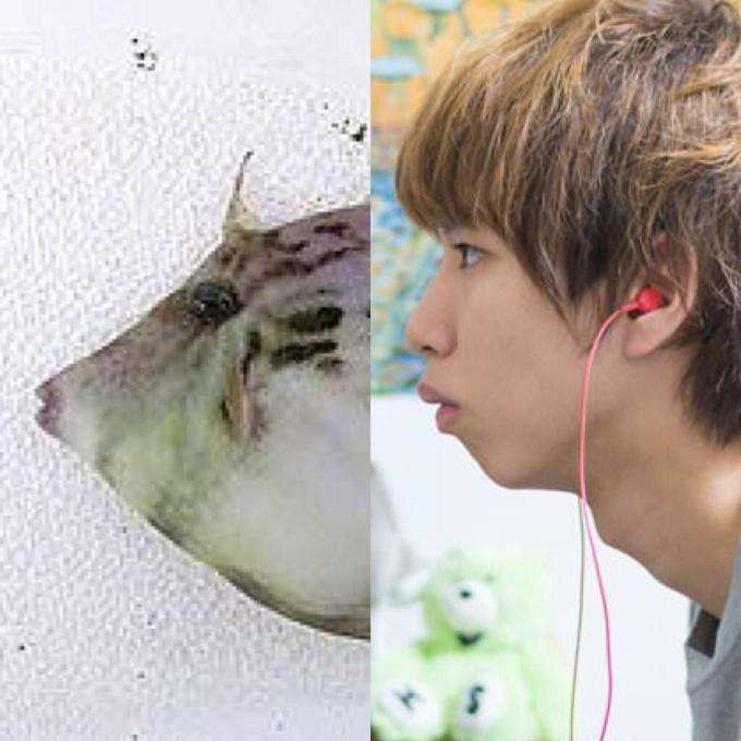 明石家さんま、芸能人のYouTube大量進出をはじめしゃちょーに詫びる「あれは素人さんの領域やってん」