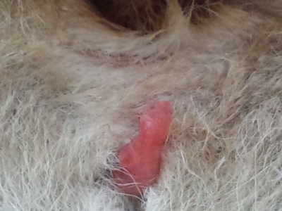 無駄知識を集めるトピ