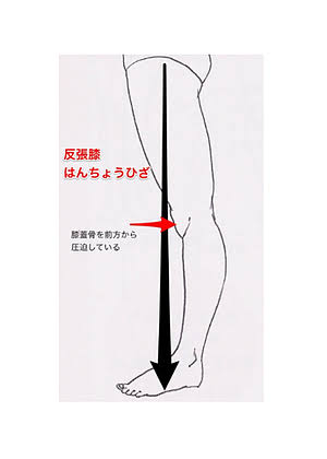 無駄知識を集めるトピ